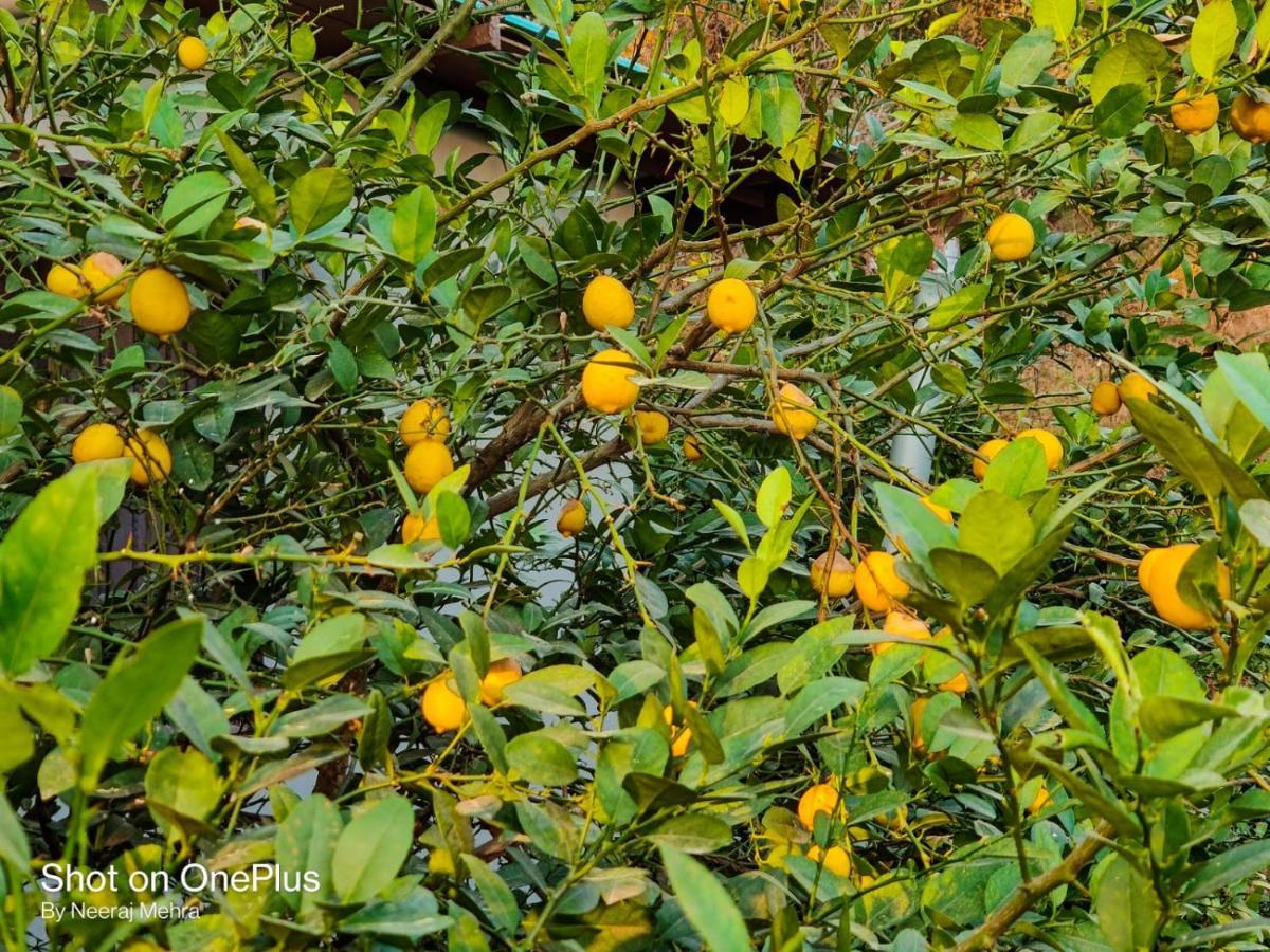 Entire 2 Bhk Nanda Devi Himalayan Homestay Ranikhet Ngoại thất bức ảnh